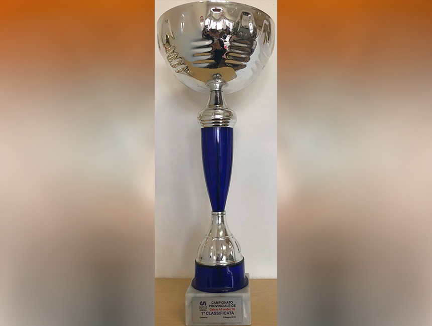 This image for Image Layouts addon