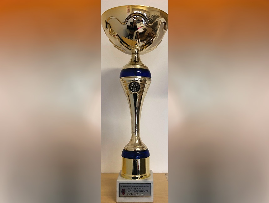 This image for Image Layouts addon