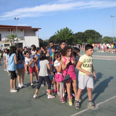 Img 4527